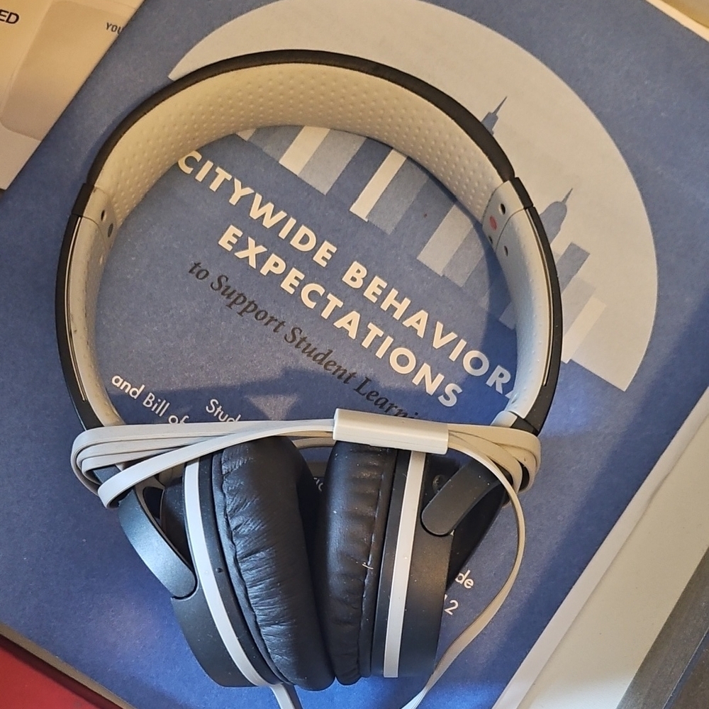 Sony Black/ Gray Headphones MDR-ZX660